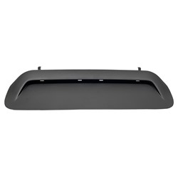 Toyota 4RUNNER / Tacoma 2010–2024 Hood – TO1231103 product photo