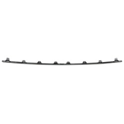 Lexus NX300 2018–2021 Front Bumper Molding (Front) – LX1044110 product photo