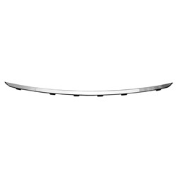 Bmw 320i / 328d & more 2016–2018 Front Bumper Molding (Front) – BM1044111 product photo