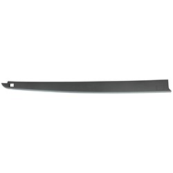 Dodge RAM 2009–2010 & more Rt Bed Side Molding – CH1793107 product photo