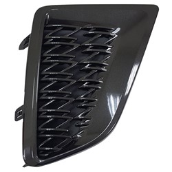 Lexus RX450h / RX450h+ & more 2020–2022 Rt Front Bumper Insert (Front) – LX1039145 product photo