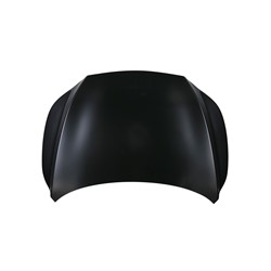 Lexus RX350 / RX350h & more 2023–2025 Hood – LX1230141 product photo