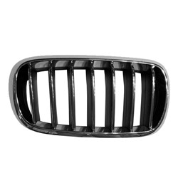 Bmw X5 2014–2018 Grille (Passenger side) – BM1200269 product photo