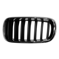 Bmw X5 2014–2018 Grille (Driver side) – BM1200268 product photo